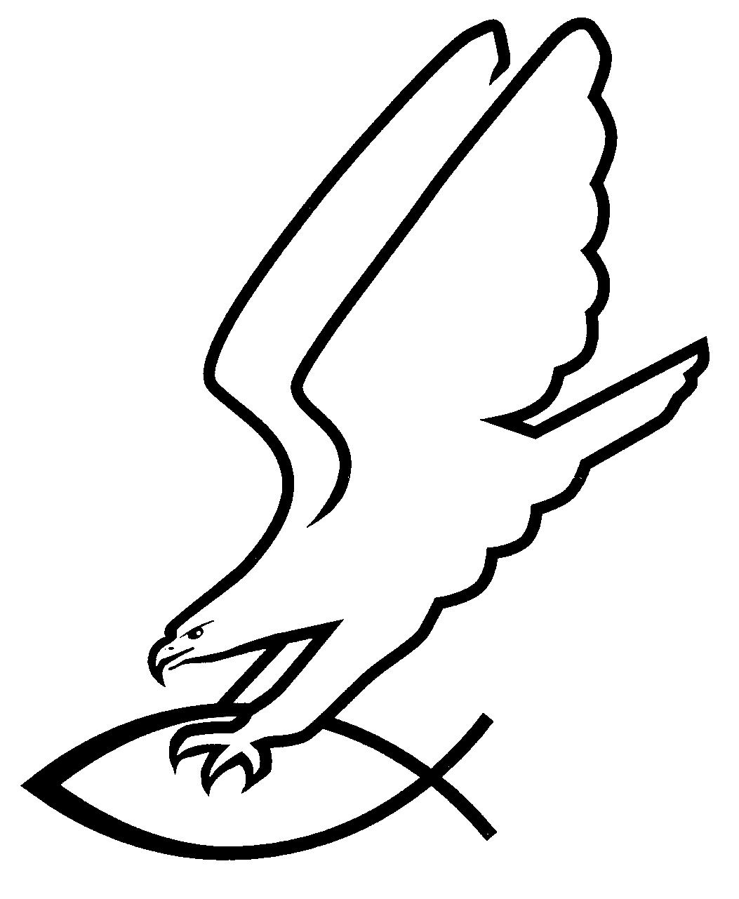 Adler fängt Fisch/Raben greifen Fisch an