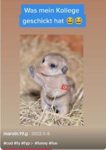 Screenshot von Tiktok, das geteilte Bild zeigt ein kleines Erdmännchen, das die rechte Pfote hebt. In die rechte Pfote ist eine rote Fahne mit Kreuz eingefügt. Darüber steht der Schriftzug: "Was mein Kollege geschickt hat" mit Lachemojis.