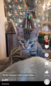 Screenshot eines TikTok-Beitrags: "love nature / hate 🧃"