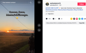 Screenshot eines TikTok-Beitrages, in dem eine Person durch eine Landschaft bei Abendsonne wandert. Im beitrag ist der Titel "Sommer, Sonne, Massenrückführungen" zu lesen, in den Hashtags steht unter anderem White Boy Summer.